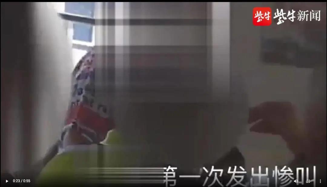 学生被殴打辱骂|视频惊心！32个学生被殴打辱骂！这位老师一开学就被停职