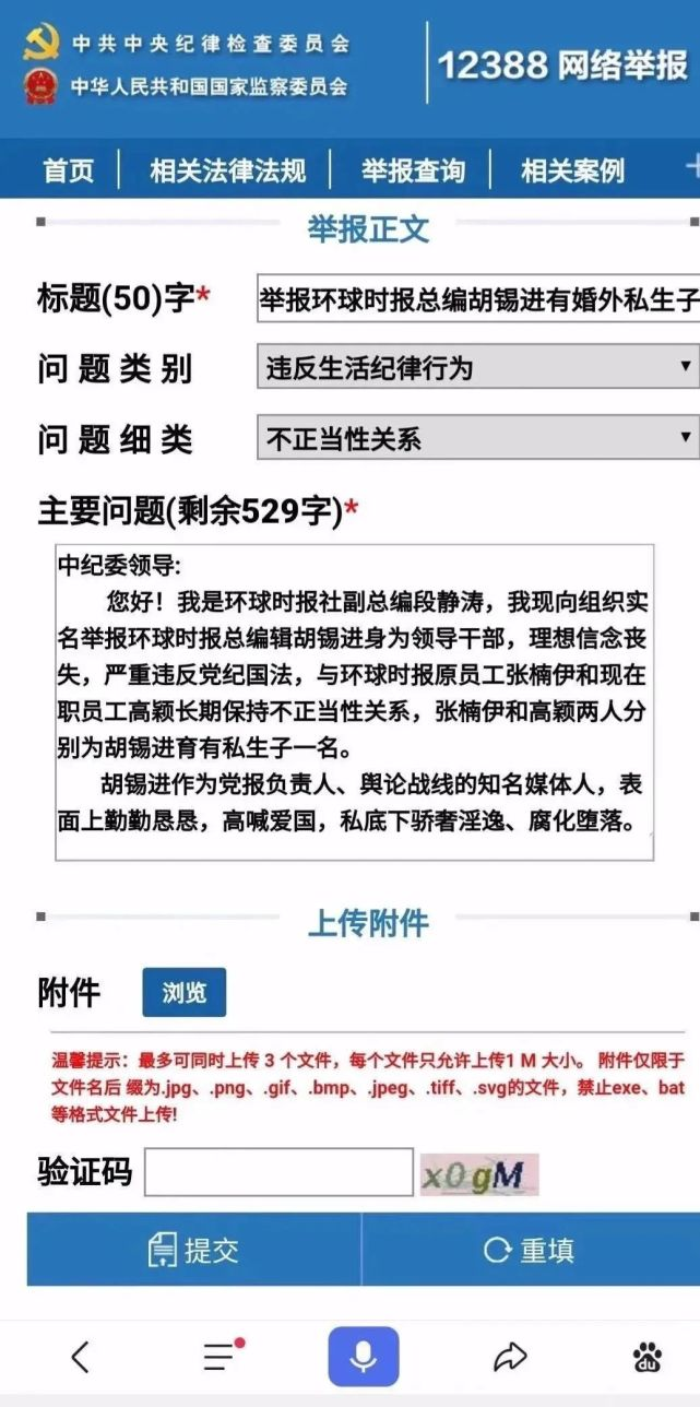 胡锡进回应环球时报副总编辑段静涛实名举报事件