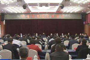 王清宪参加平度代表团审议时强调：以真抓实干推动平度快速崛起