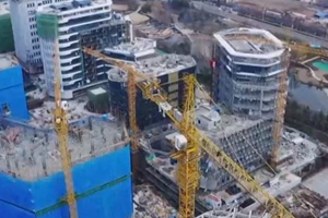 青岛代表委员：奋斗“十四五” 为推进新时代现代化强省建设作出青岛贡献