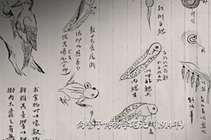 百集文献纪录片《山河岁月》 第十五集《生如夏花》