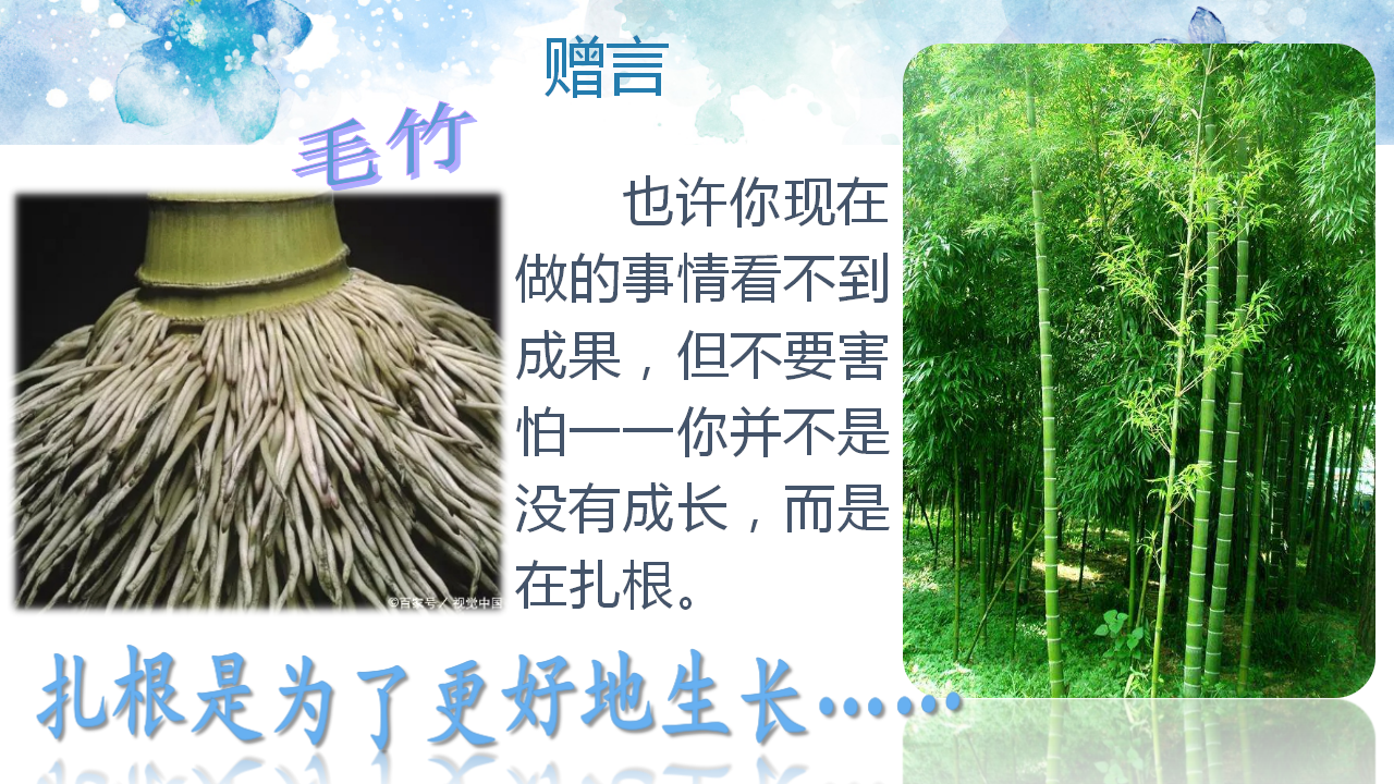 分享会|暑期分享会PPT大放送｜王一一