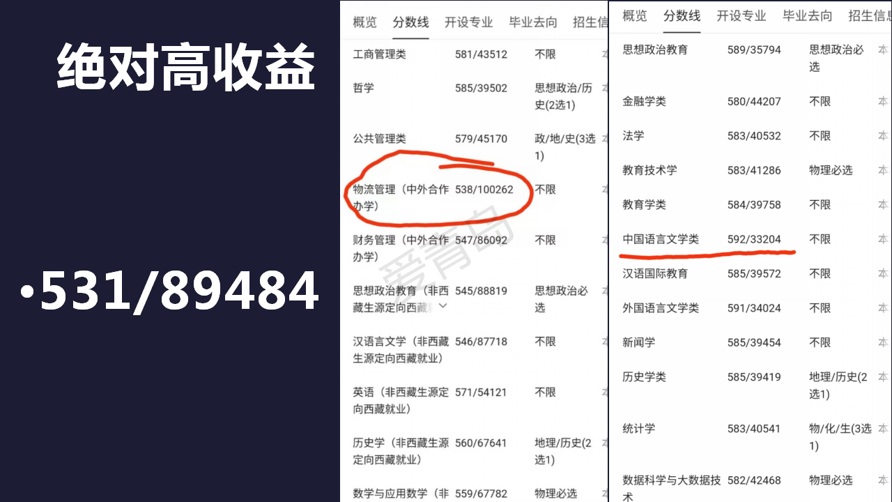 分享会|暑期分享会PPT大放送｜宫芊宇