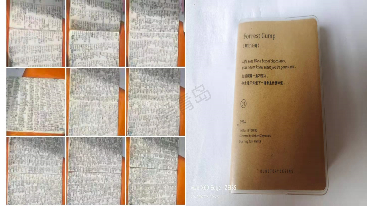 分享会|暑期分享会PPT大放送｜宫芊宇