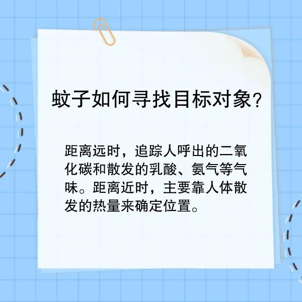 夏季|又痒又痛！夏季这些人易被蚊子“盯”上，防蚊秘方安排！