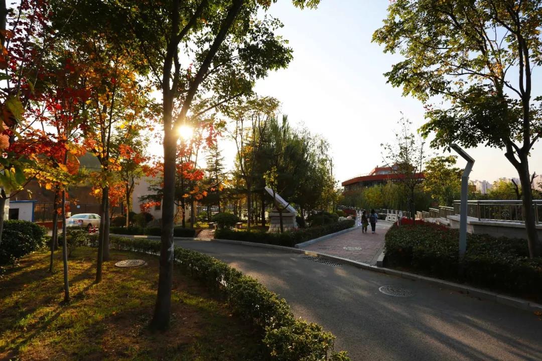 青岛六十八中选聘2022届公费师范毕业生 语文、数学、政治共4人