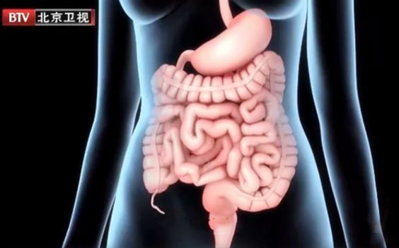 各种疾病的早期信号，都在这里了！知道了省钱又救命，赶紧学起来！