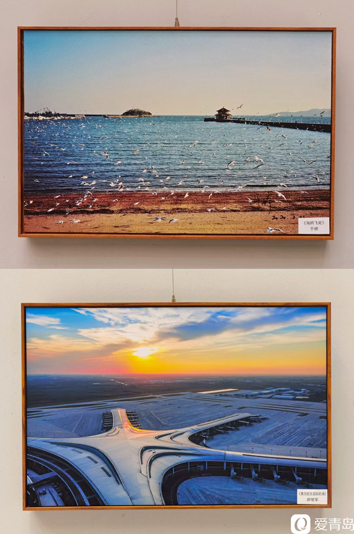 庆祝中华人民共和国成立72周年青岛市摄影艺术作品展开幕