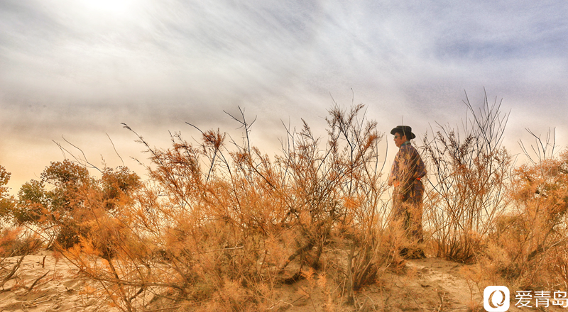 行走中的风景:“云游”额济纳旗 感受金秋大漠的英雄气概