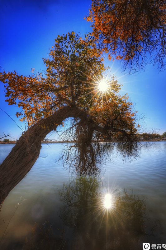 行走中的风景:“云游”额济纳旗 感受金秋大漠的英雄气概