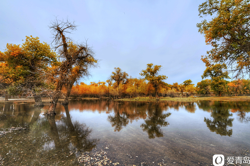 行走中的风景:“云游”额济纳旗 感受金秋大漠的英雄气概