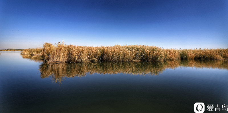 行走中的风景：“云游”额济纳旗 感受金秋大漠的英雄气概