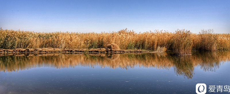 行走中的风景：“云游”额济纳旗 感受金秋大漠的英雄气概