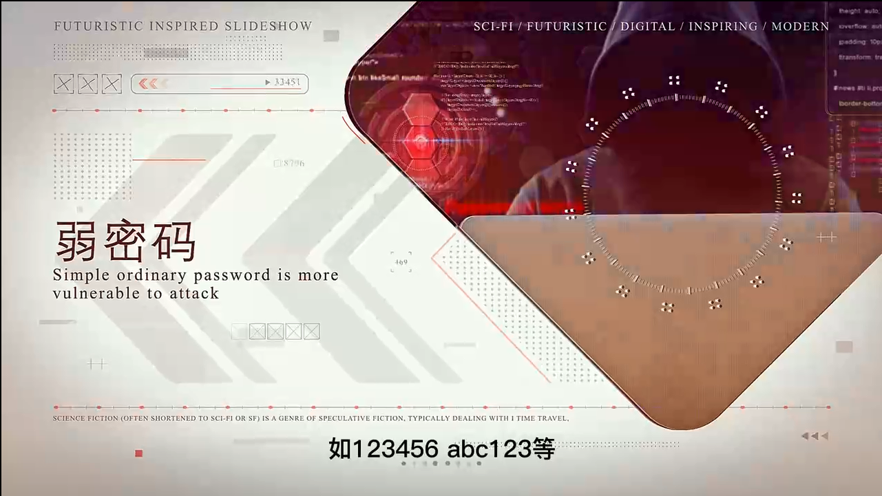 569.信息时代的网络安全