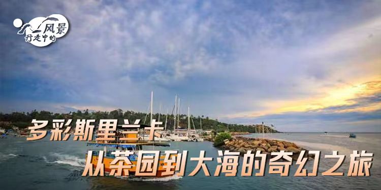 行走中的风景：多彩斯里兰卡 从茶园到大海的奇幻之旅