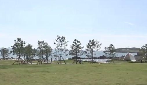 跟著秋天的風  去海之戀公園打卡吧