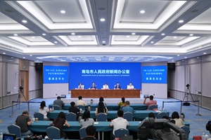 中国（山东）自由贸易试验区青岛片区建设发展情况