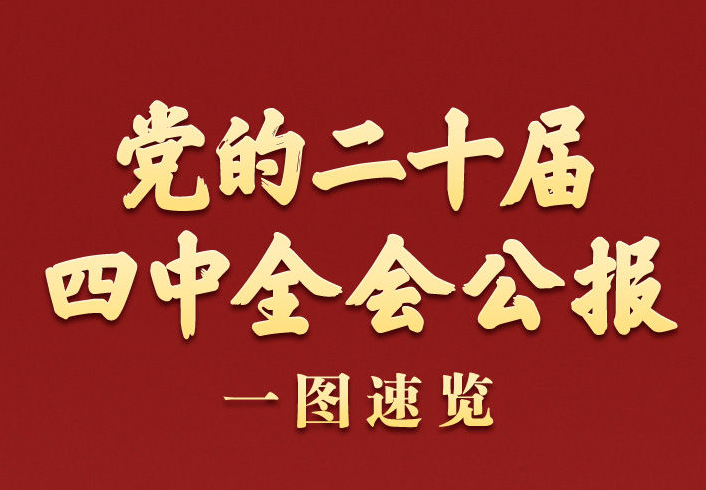 学习新语｜党的二十届四中全会公报一图速览