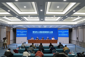 青岛仲裁委员会/青岛国际仲裁中心临时仲裁服务规则