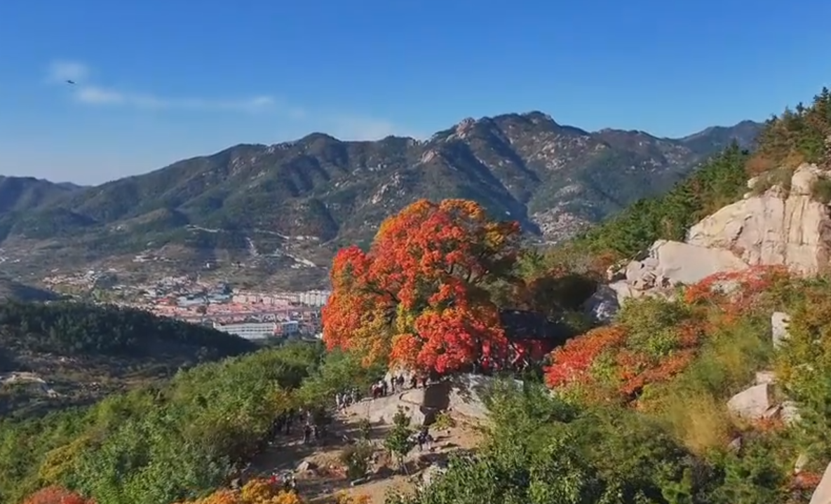 带你解锁空中视角！崂山神清宫的秋日童话