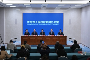 《青岛市公共数据资源授权运营实施方案》情况介绍