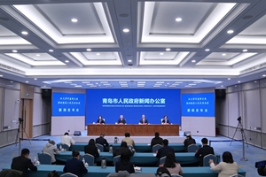 加大审计监督力度 推动提高人民生活品质