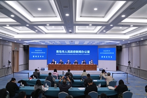 青岛自贸片区2025年高效能制度创新成果