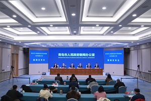 青岛市工程建设项目审批制度改革创新工作