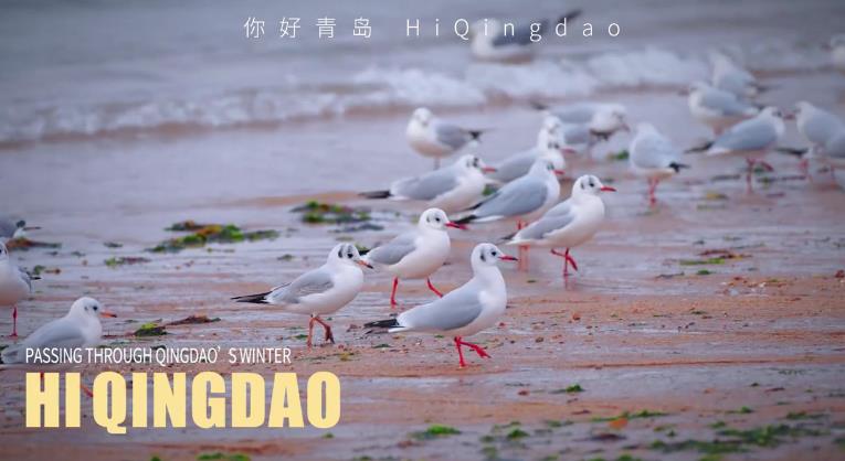 在青岛，冬日阴天里的海边，是一部低饱和的情绪电影