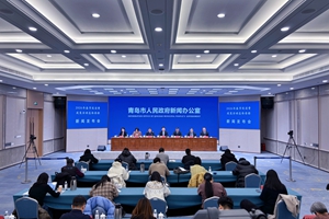 2026年春节促消费活动政策总体安排