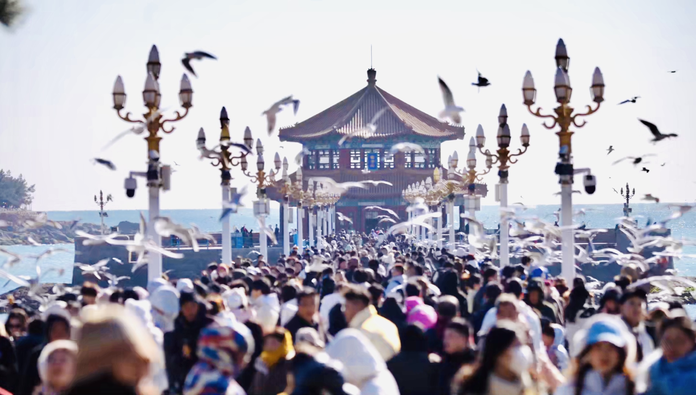 返程注意！青岛交警发布2026年春节假期尾期出行提示