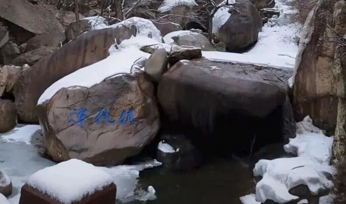 瑞雪伴开工！青岛马年初雪上线→
