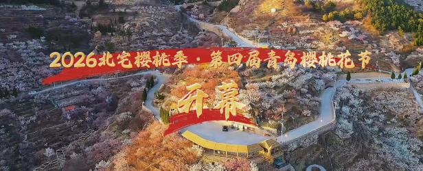 2026北宅樱桃季·第四届青岛樱桃花节，盛大启幕！