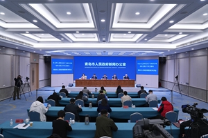 青岛市支持制造业产业链供应链创新发展若干政策措施