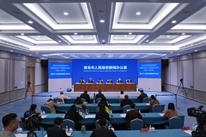 《青岛市加快场景创新应用推动新质生产力发展行动方案（2026-2028年）》