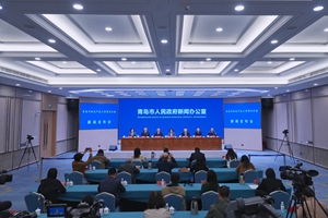 青岛市知识产权工作情况介绍