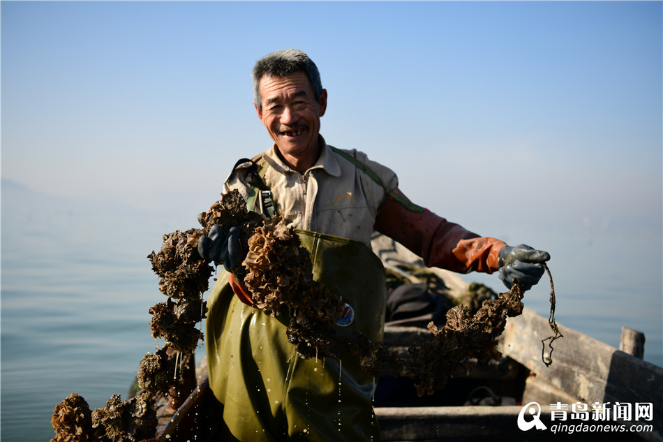 别看这捕获海蛎子简单,冬天的海上格外的冷,有时候根据潮汐变化,还