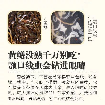 这些食物千万别生吃体内可能长出虫子