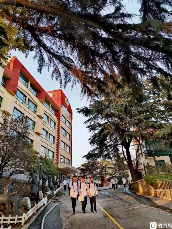 秋意校园树树皆秋色青岛三十七中饱蘸秋意美成诗