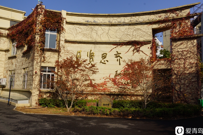 秋意校园树树皆秋色青岛三十七中饱蘸秋意美成诗