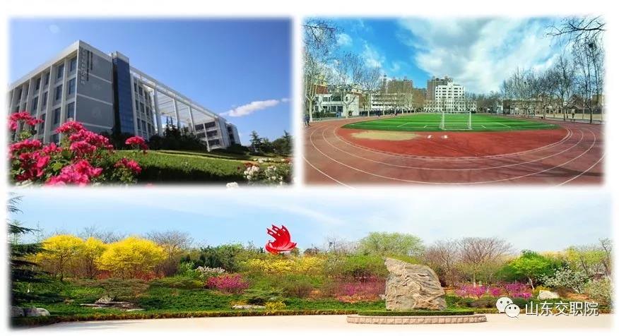 联系电话:0536-8781827(招生办)   寒亭校区地址:潍坊市益新街39藕 