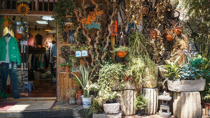 撑起整条街的文艺范!实拍大学路特色小店