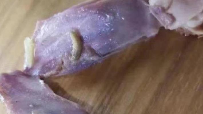 学生反映食堂饭菜现蛆虫,安徽医科大:已移交第三方机构检测