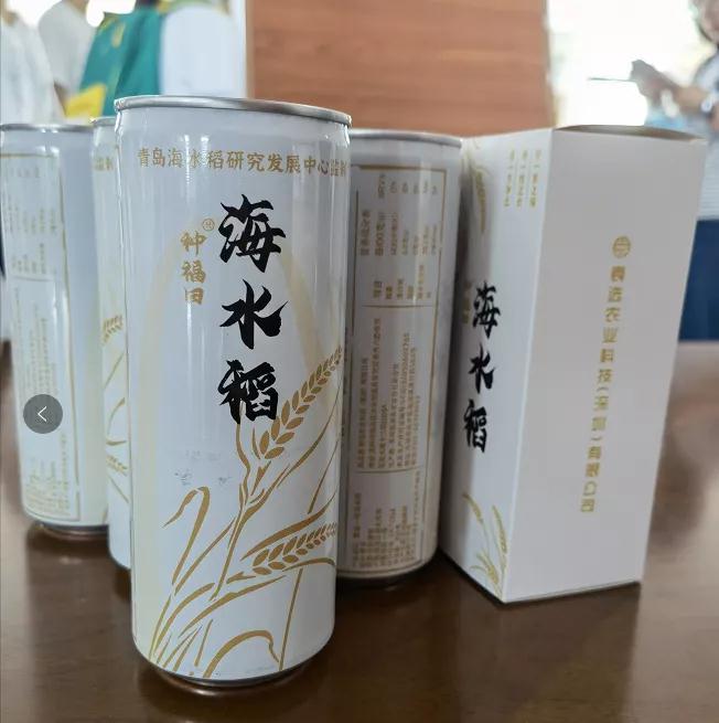 鞍二学子亲近海水稻,感受耕耘美