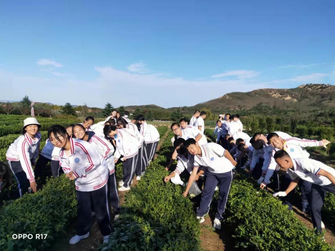 碧空如洗,青岛三十七中学农研学进行时