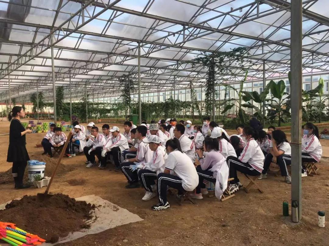 碧空如洗,青岛三十七中学农研学进行时