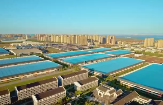 胶州新闻-青岛网络广播电视台